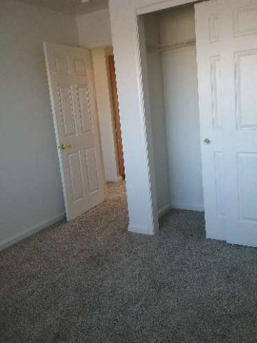 Image of carpeted bedroom with closet